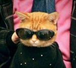 Аватара пользователя