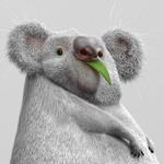 Аватара пользователя