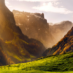 Аватара пользователя