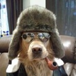 Аватара пользователя