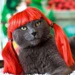 Аватара пользователя