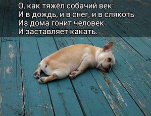 OUtx4dlEaAM.jpg (4667 просмотров) <a class='original' href='./download/file.php?id=100167&mode=view' target=_blank>Загрузить оригинал (47.27 КБ)</a>