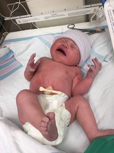 16128022_10210142227465742_1970929893_n.jpg (2799 просмотров) <a class='original' href='./download/file.php?id=100248&mode=view' target=_blank>Загрузить оригинал (80.36 КБ)</a>