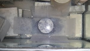 20170117_163139.jpg (7303 просмотра) <a class='original' href='./download/file.php?id=100297&mode=view' target=_blank>Загрузить оригинал (4.12 МБ)</a>