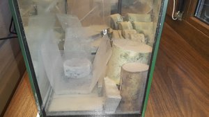 20170117_163724.jpg (7303 просмотра) <a class='original' href='./download/file.php?id=100306&mode=view' target=_blank>Загрузить оригинал (4.06 МБ)</a>