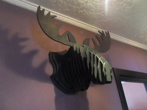 SDC11704.JPG (6311 просмотров) <a class='original' href='./download/file.php?id=100397&mode=view' target=_blank>Загрузить оригинал (1.25 МБ)</a>