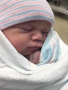 16114699_10158127204720077_3264845383149121500_n(1).jpg (2777 просмотров) <a class='original' href='./download/file.php?id=100436&mode=view' target=_blank>Загрузить оригинал (66.68 КБ)</a>