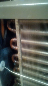 IMG_20170119_211106.jpg (3767 просмотров) <a class='original' href='./download/file.php?id=100527&mode=view' target=_blank>Загрузить оригинал (2.43 МБ)</a>