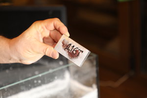 Откуда взялась эта смола--никто не понял. (7129 просмотров) <a class='original' href='./download/file.php?id=101997&mode=view' target=_blank>Загрузить оригинал (5.73 МБ)</a>