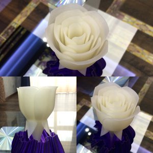 Flower.jpg (2722 просмотра) <a class='original' href='./download/file.php?id=102368&mode=view' target=_blank>Загрузить оригинал (508.76 КБ)</a>