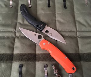 IMG_2479.JPG (2730 просмотров) <a class='original' href='./download/file.php?id=103390&mode=view' target=_blank>Загрузить оригинал (2.98 МБ)</a>