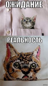 1440155499_2030487732.jpg (5350 просмотров) <a class='original' href='./download/file.php?id=103473&mode=view' target=_blank>Загрузить оригинал (201.59 КБ)</a>