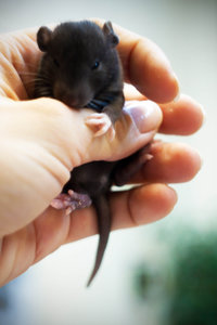 DSC_0205.jpg (2117 просмотров) <a class='original' href='./download/file.php?id=104021&mode=view' target=_blank>Загрузить оригинал (478.54 КБ)</a>