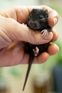 DSC_0344.jpg (2117 просмотров) <a class='original' href='./download/file.php?id=104024&mode=view' target=_blank>Загрузить оригинал (681.56 КБ)</a>