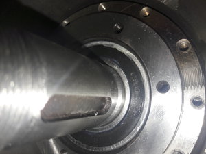 20170221_200254.jpg (4322 просмотра) <a class='original' href='./download/file.php?id=104111&mode=view' target=_blank>Загрузить оригинал (3.55 МБ)</a>