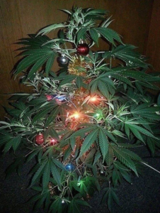 Screenshot - 21.02.2017 , 18_10_19.png (2387 просмотров) <a class='original' href='./download/file.php?id=104158&mode=view' target=_blank>Загрузить оригинал (1.15 МБ)</a>