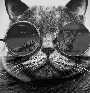 wEnNUd3j4Xk.jpg (3343 просмотра) <a class='original' href='./download/file.php?id=104806&mode=view' target=_blank>Загрузить оригинал (200.4 КБ)</a>