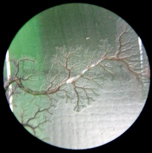 IMG_20170306_110955.jpg (3472 просмотра) <a class='original' href='./download/file.php?id=105184&mode=view' target=_blank>Загрузить оригинал (2.09 МБ)</a>