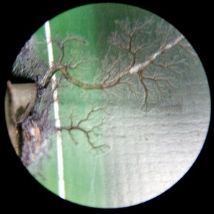 IMG_20170306_111315.jpg (3472 просмотра) <a class='original' href='./download/file.php?id=105185&mode=view' target=_blank>Загрузить оригинал (1.9 МБ)</a>