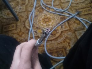 IMG_20170309_160702.jpg (2145 просмотров) <a class='original' href='./download/file.php?id=105487&mode=view' target=_blank>Загрузить оригинал (3.39 МБ)</a>