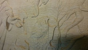 IMG-20170312-WA0005.jpg (4966 просмотров) <a class='original' href='./download/file.php?id=105814&mode=view' target=_blank>Загрузить оригинал (88.5 КБ)</a>