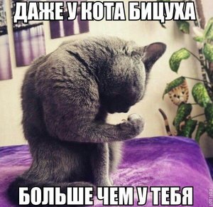 IMG-20170224-WA0021.jpg (2774 просмотра) <a class='original' href='./download/file.php?id=106081&mode=view' target=_blank>Загрузить оригинал (76.75 КБ)</a>