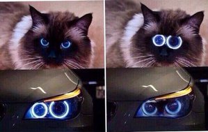 IMG-20170308-WA0048.jpg (2774 просмотра) <a class='original' href='./download/file.php?id=106087&mode=view' target=_blank>Загрузить оригинал (60.81 КБ)</a>