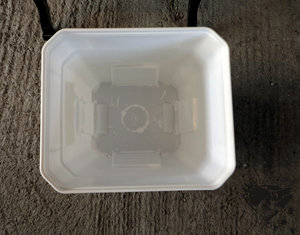 IMG_5926.JPG (10540 просмотров) <a class='original' href='./download/file.php?id=106497&mode=view' target=_blank>Загрузить оригинал (273.06 КБ)</a>