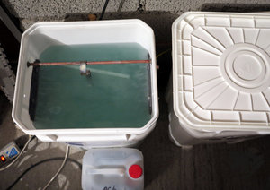 IMG_5929.JPG (10540 просмотров) <a class='original' href='./download/file.php?id=106498&mode=view' target=_blank>Загрузить оригинал (214.59 КБ)</a>