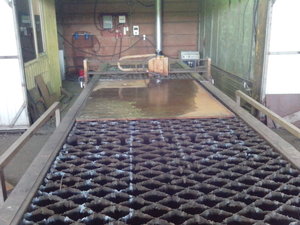 IMG_20130111_103042.jpg (6143 просмотра) <a class='original' href='./download/file.php?id=10754&sid=d688005b0473d839553a0600e99b49e3&mode=view' target=_blank>Загрузить оригинал (843.93 КБ)</a>