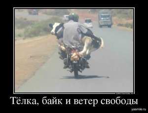 1351281705_444.jpg (3480 просмотров) <a class='original' href='./download/file.php?id=10829&mode=view' target=_blank>Загрузить оригинал (121.99 КБ)</a>