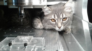 20170323_17824.jpg (4557 просмотров) <a class='original' href='./download/file.php?id=108385&mode=view' target=_blank>Загрузить оригинал (129.04 КБ)</a>