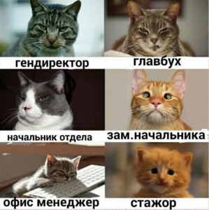 Screenshot - 15.04.2017 , 17_03_31.png (2636 просмотров) <a class='original' href='./download/file.php?id=108959&mode=view' target=_blank>Загрузить оригинал (1.06 МБ)</a>