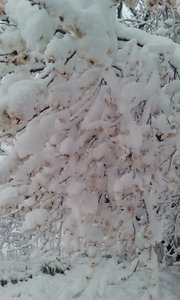 IMG_20170419_0388.jpg (2280 просмотров) <a class='original' href='./download/file.php?id=109293&mode=view' target=_blank>Загрузить оригинал (2.6 МБ)</a>