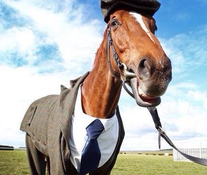 image (3).jpg (2133 просмотра) <a class='original' href='./download/file.php?id=109340&mode=view' target=_blank>Загрузить оригинал (74.85 КБ)</a>