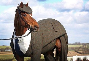 image.jpg (2133 просмотра) <a class='original' href='./download/file.php?id=109341&mode=view' target=_blank>Загрузить оригинал (61.06 КБ)</a>