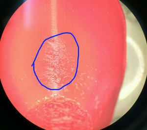 IMG_20170428_174741_HDR.jpg (1961 просмотр) <a class='original' href='./download/file.php?id=110195&mode=view' target=_blank>Загрузить оригинал (197.73 КБ)</a>