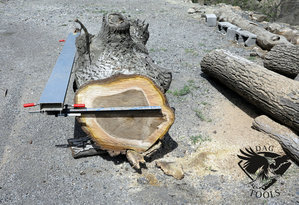 IMG_6061.JPG (5808 просмотров) <a class='original' href='./download/file.php?id=110346&mode=view' target=_blank>Загрузить оригинал (484.48 КБ)</a>