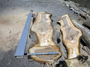 IMG_6063.JPG (5808 просмотров) <a class='original' href='./download/file.php?id=110348&mode=view' target=_blank>Загрузить оригинал (485.53 КБ)</a>