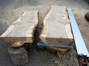 IMG_6065.JPG (5808 просмотров) <a class='original' href='./download/file.php?id=110350&mode=view' target=_blank>Загрузить оригинал (410.85 КБ)</a>