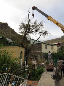 IMG_1763.JPG (5766 просмотров) <a class='original' href='./download/file.php?id=110366&mode=view' target=_blank>Загрузить оригинал (342.3 КБ)</a>