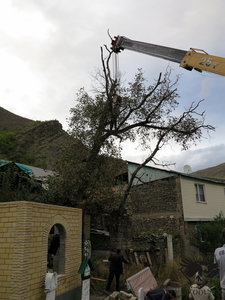 IMG_1765.JPG (5766 просмотров) <a class='original' href='./download/file.php?id=110367&mode=view' target=_blank>Загрузить оригинал (309.13 КБ)</a>