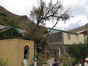 IMG_1776.JPG (5766 просмотров) <a class='original' href='./download/file.php?id=110369&mode=view' target=_blank>Загрузить оригинал (394.01 КБ)</a>