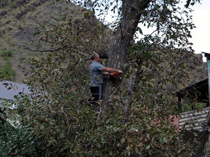 IMG_1777.JPG (5766 просмотров) <a class='original' href='./download/file.php?id=110370&mode=view' target=_blank>Загрузить оригинал (486.39 КБ)</a>