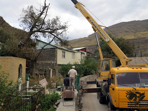 IMG_1779.JPG (5766 просмотров) <a class='original' href='./download/file.php?id=110372&mode=view' target=_blank>Загрузить оригинал (387.93 КБ)</a>