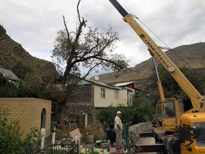 IMG_1780.JPG (5766 просмотров) <a class='original' href='./download/file.php?id=110373&mode=view' target=_blank>Загрузить оригинал (360.98 КБ)</a>