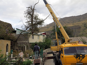 IMG_1782.JPG (5766 просмотров) <a class='original' href='./download/file.php?id=110374&mode=view' target=_blank>Загрузить оригинал (352.06 КБ)</a>