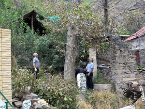 IMG_1790.JPG (5766 просмотров) <a class='original' href='./download/file.php?id=110376&mode=view' target=_blank>Загрузить оригинал (572.94 КБ)</a>