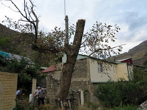 IMG_1800.JPG (5766 просмотров) <a class='original' href='./download/file.php?id=110378&mode=view' target=_blank>Загрузить оригинал (351.81 КБ)</a>