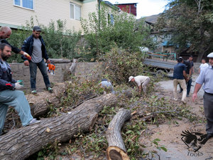 IMG_1812.JPG (5766 просмотров) <a class='original' href='./download/file.php?id=110379&mode=view' target=_blank>Загрузить оригинал (430.41 КБ)</a>